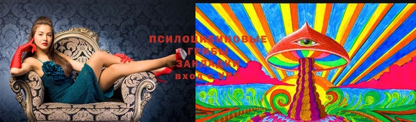 кокаин премиум Алзамай